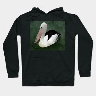 Pelican Swimming Hoodie